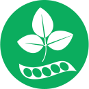 https://www.eljardidelalbereda.es/wp-content/uploads/2020/06/soja.png